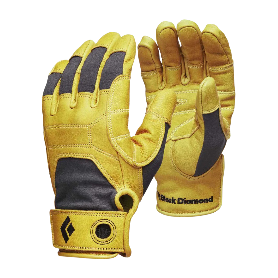 BLACK DIAMOND Transition Gloves-Unisex