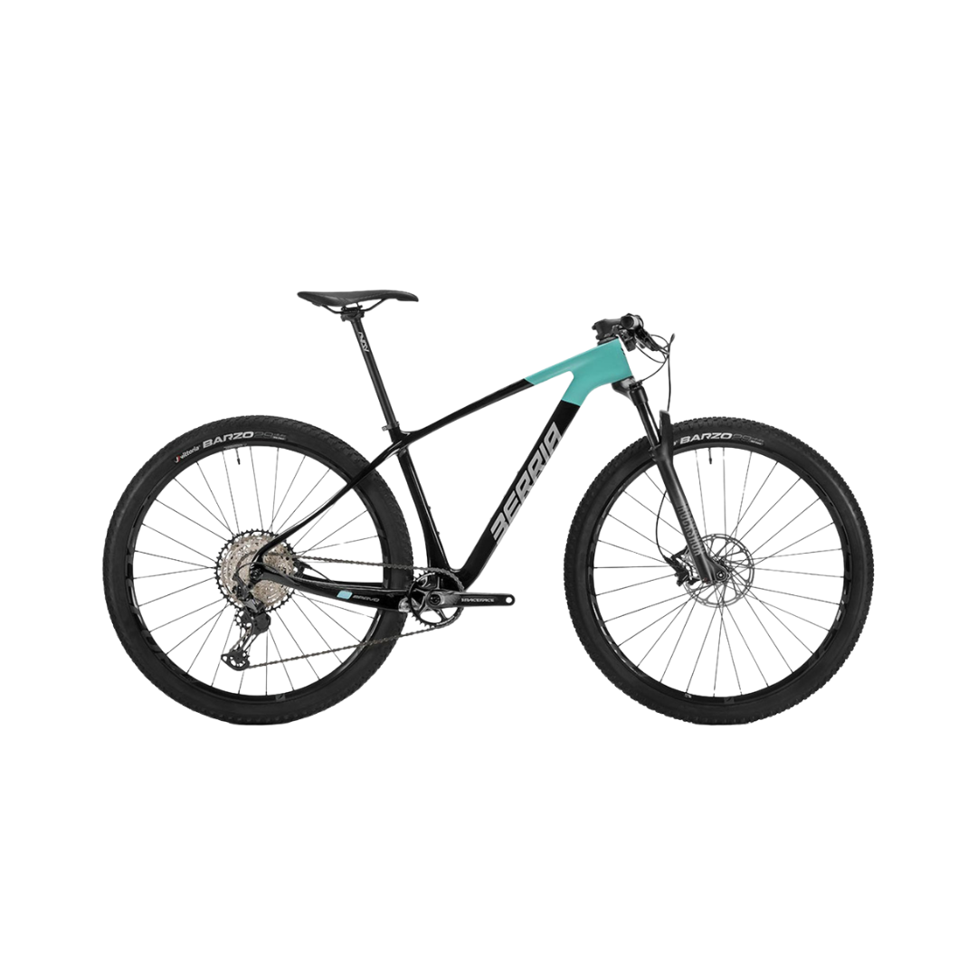 Bici mtb BRAVO ELITE XT C2