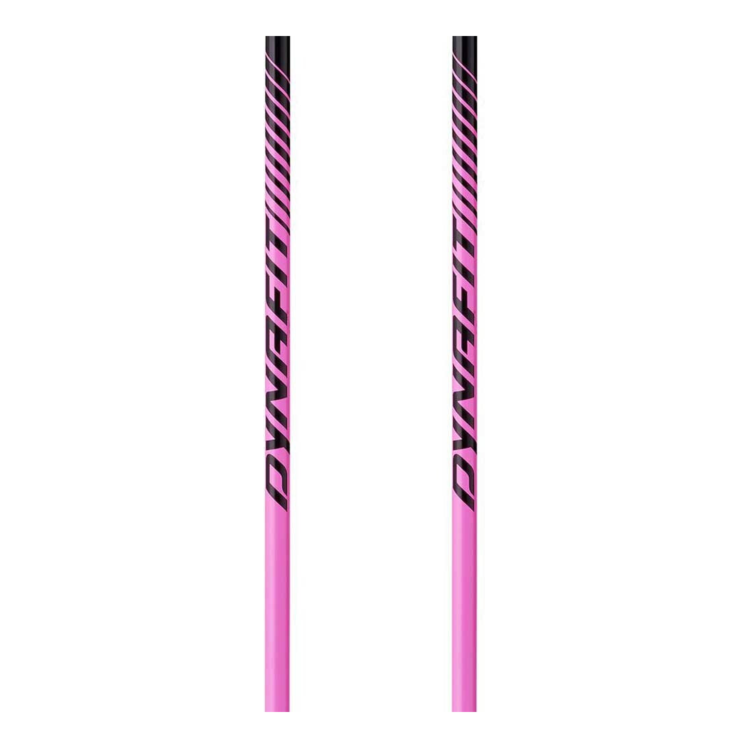 DYNAFIT Tour Pole