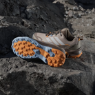 TERREX Terrex Skychaser Ax5 Gtx W-wonder taupe/off white/glow blue|Wmn