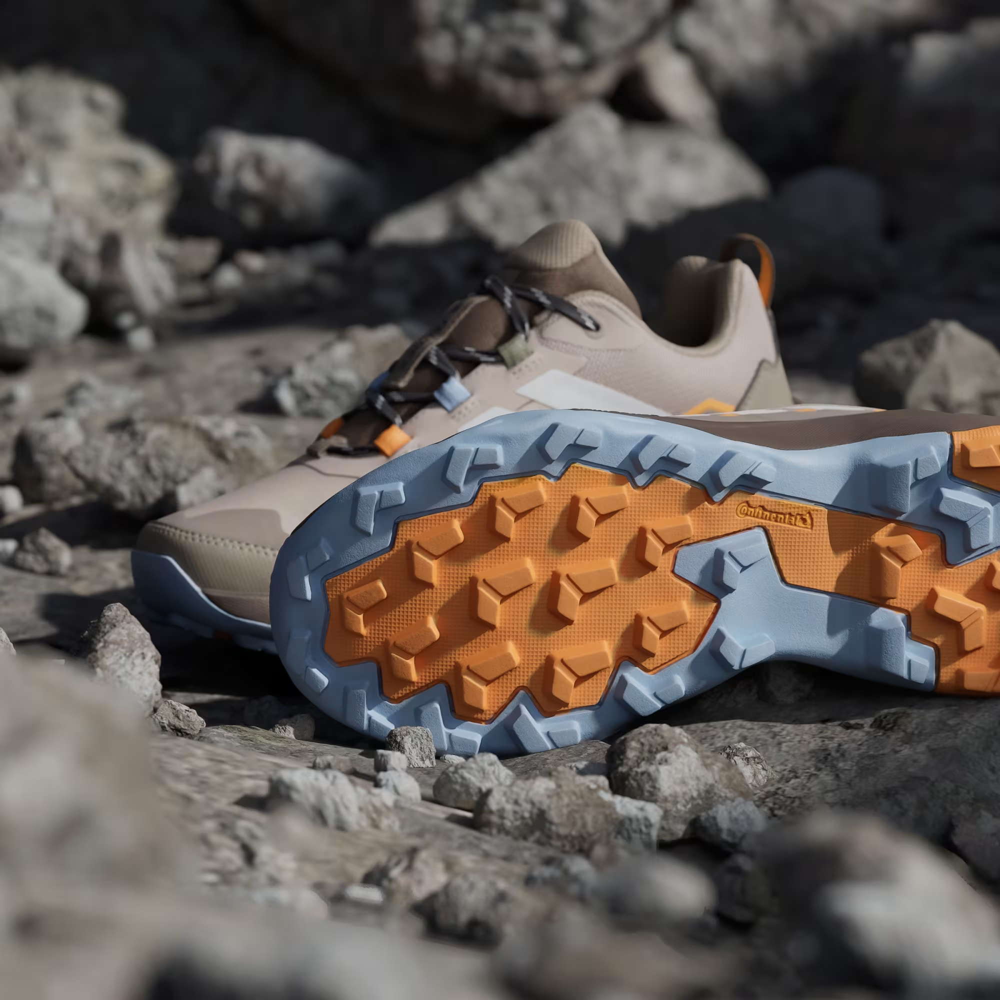 TERREX Terrex Skychaser Ax5 Gtx W-wonder taupe/off white/glow blue|Wmn