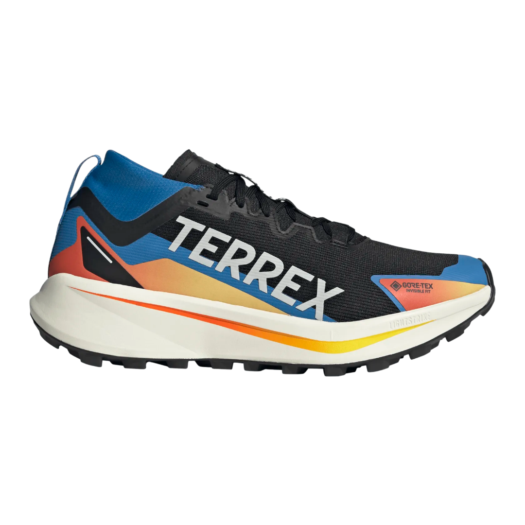 TERREX Terrex Agravic Gtx-core black/ftwr white/ray blue|Man