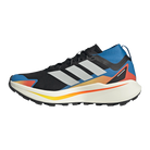 TERREX Terrex Agravic Gtx-core black/ftwr white/ray blue|Man