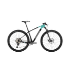 Bici mtb BRAVO ELITE XT C2