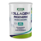 WHYNATURE Collagene Rigenera 330G
