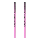 DYNAFIT Tour Pole