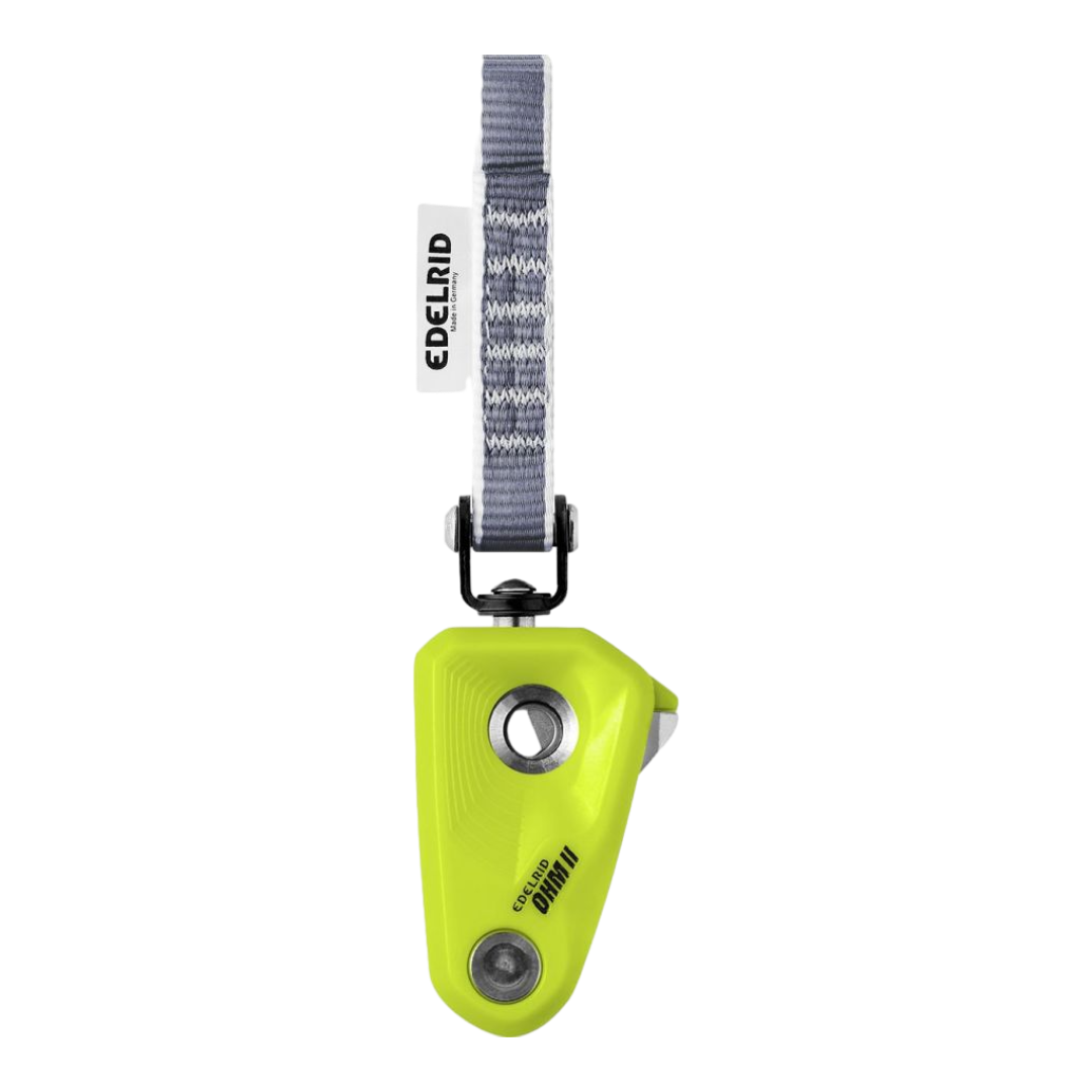 Assicuratorearampicata OHM II