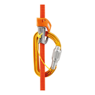 PETZL Carabiner Sm D Twist-Lock