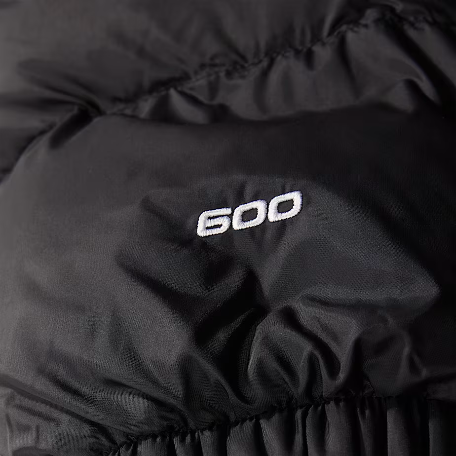 THE NORTH FACE M Hydrenalite Down Jacket-Man