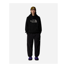 THE NORTH FACE M Drew Peak Pullover Hoodie-Mens