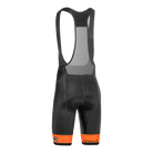 TEAM 2.0 BIB SHORT